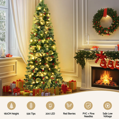 Jingle Jollys Christmas Tree 1.8M LED Xmas Tree Party Decorations Red Barries-Occasions &gt; Christmas &gt; Christmas Trees-PEROZ Accessories