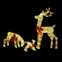 Tinseltown Christmas Lights LED 3PCS Reindeer Family Xmas Decor-Christmas Light-PEROZ Accessories