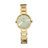 Titan Raga Viva Champagne Dial Women Watch With Metal Strap-PEROZ Accessories