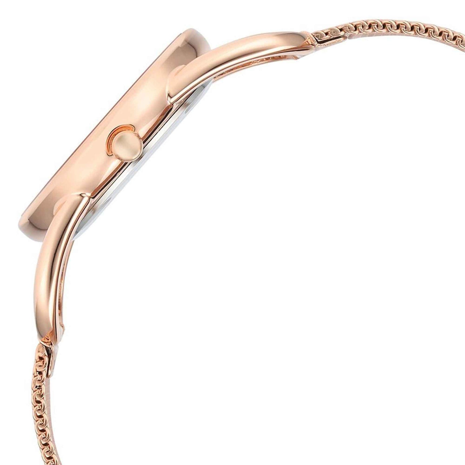 Titan Raga Chic Quartz Analogue Pink Dial Metal Strap Watch for Women-PEROZ Accessories