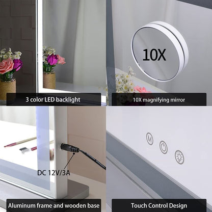 10x Magnification Mirror with Smart Touch Control and 3 Colors Dimmable Light for Bathroom and Bedroom (71 x 57 cm)-Makeup Mirrors-PEROZ Accessories