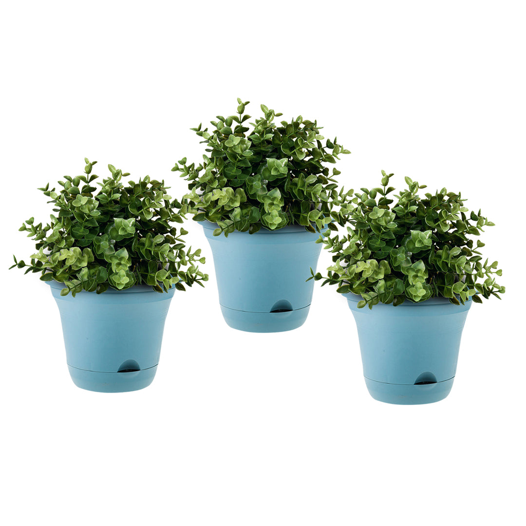 SOGA 20cm Blue Plastic Plant Pot Self Watering Planter Flower Bonsai Indoor Outdoor Garden Decor Set of 3-Indoor Pots, Planters and Plant Stands-PEROZ Accessories