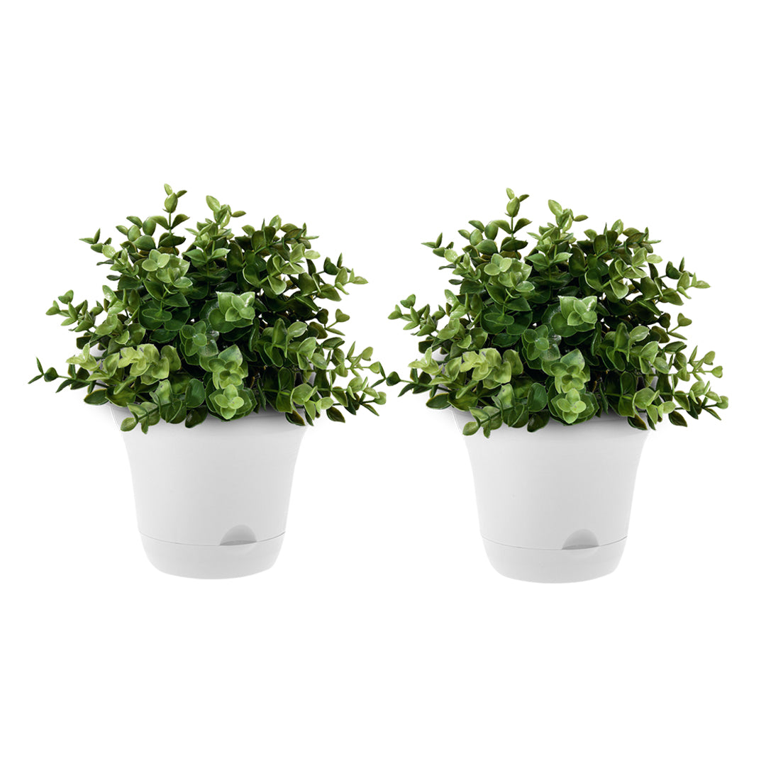 SOGA 20cm White Plastic Plant Pot Self Watering Planter Flower Bonsai Indoor Outdoor Garden Decor Set of 2-Indoor Pots, Planters and Plant Stands-PEROZ Accessories