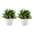 SOGA 20cm White Plastic Plant Pot Self Watering Planter Flower Bonsai Indoor Outdoor Garden Decor Set of 2-Indoor Pots, Planters and Plant Stands-PEROZ Accessories
