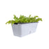 SOGA 50cm Large White Rectangular Flowerpot Vegetable Herb Flower Outdoor Plastic Box Garden Decor-Indoor Pots, Planters and Plant Stands-PEROZ Accessories