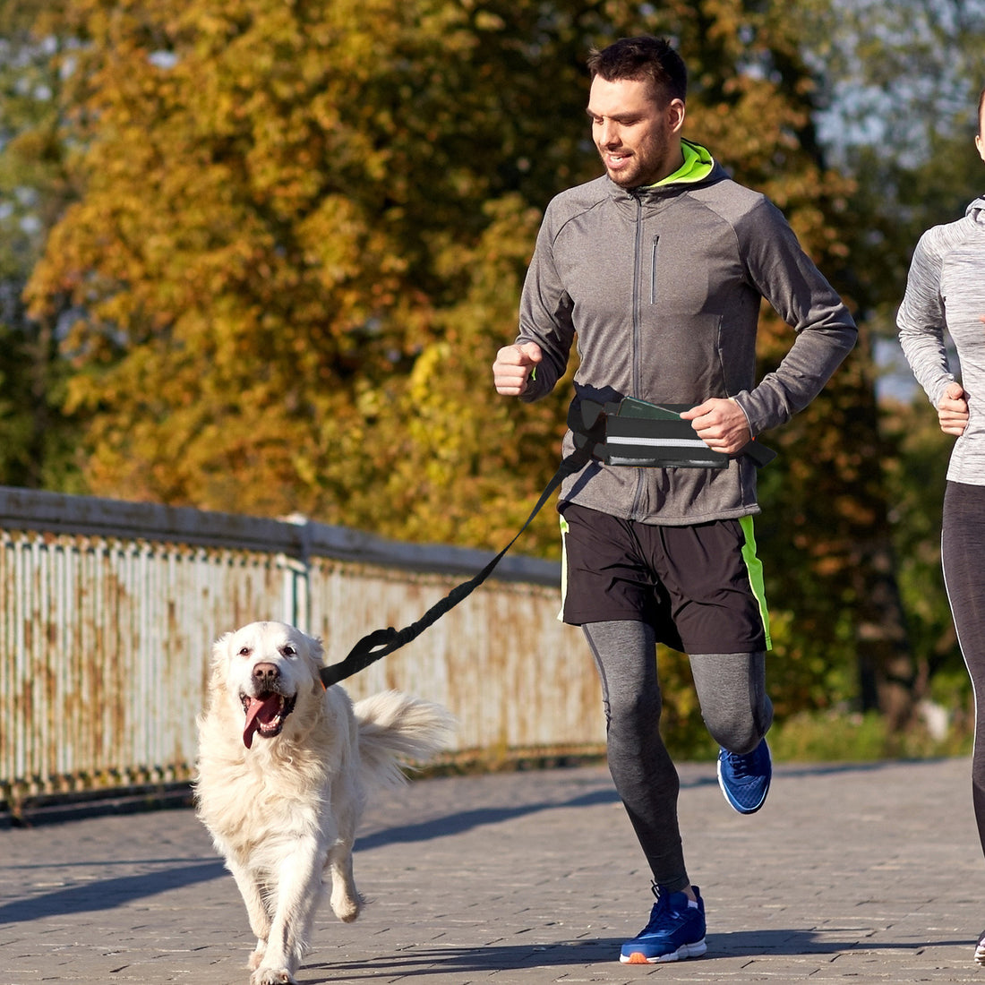 SOGA Black Adjustable Hands Free Pet Leash Bag Dog Lead Walking Running Jogging Pet Essentials-Dog Collars-PEROZ Accessories