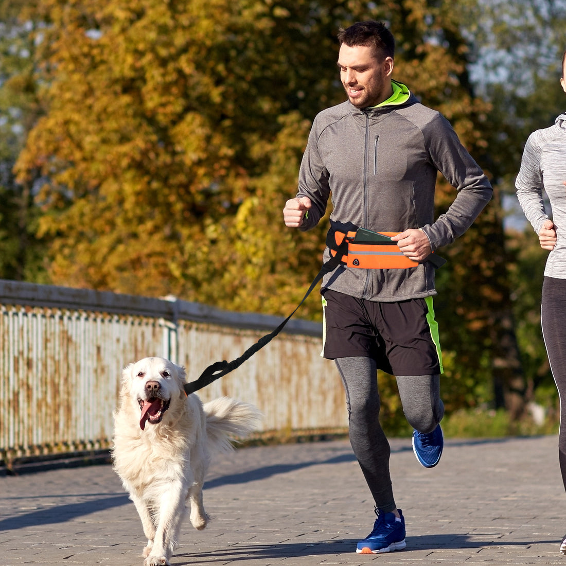 SOGA Orange Adjustable Hands Free Pet Leash Bag Dog Lead Walking Running Jogging Pet Essentials-Dog Collars-PEROZ Accessories