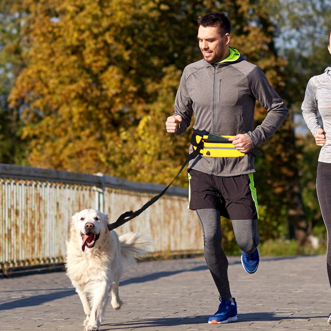 SOGA Yellow Adjustable Hands Free Pet Leash Bag Dog Lead Walking Running Jogging Pet Essentials-Dog Collars-PEROZ Accessories
