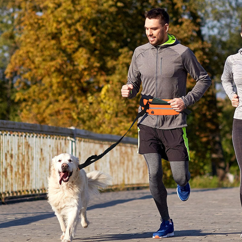 SOGA 2X Orange Adjustable Hands Free Pet Leash Bag Dog Lead Walking Running Jogging Pet Essentials-Dog Collars-PEROZ Accessories