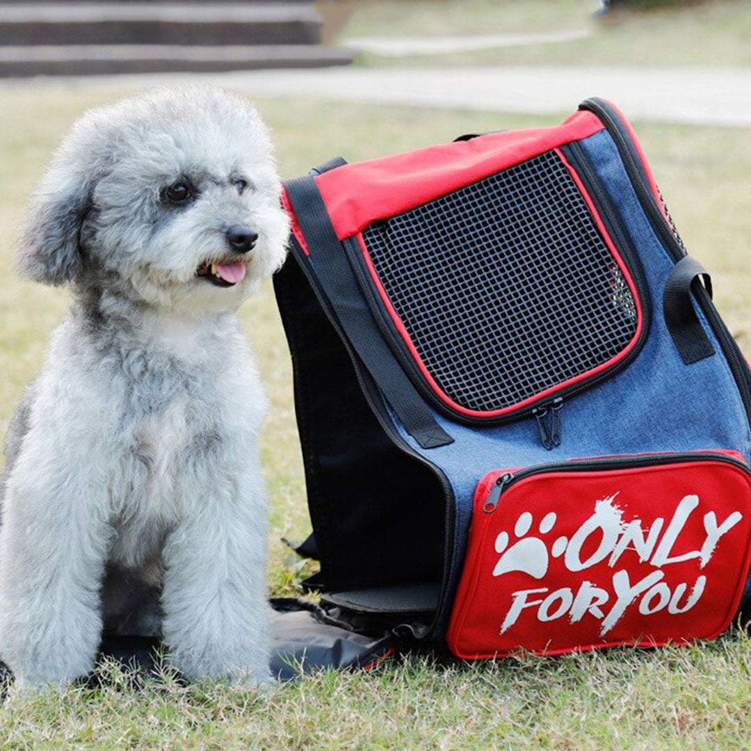 SOGA Red Pet Carrier Backpack Breathable Mesh Portable Safety Travel Essentials Outdoor Bag-Pet Carriers &amp; Travel Products-PEROZ Accessories