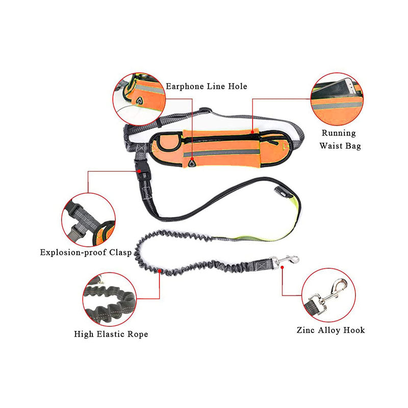 SOGA 2X Orange Adjustable Hands Free Pet Leash Bag Dog Lead Walking Running Jogging Pet Essentials-Dog Collars-PEROZ Accessories