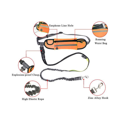 SOGA 2X Orange Adjustable Hands Free Pet Leash Bag Dog Lead Walking Running Jogging Pet Essentials-Dog Collars-PEROZ Accessories