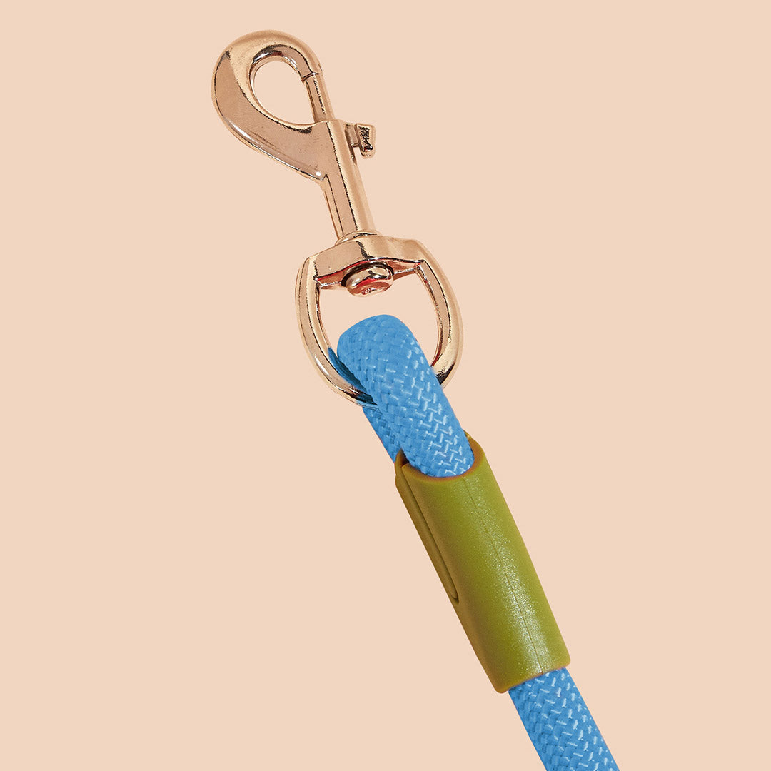 SOGA 2X 220cm Multifunction Hands Free Rope Pet Cat Dog Puppy Double Ended Leash for Walking Training Tracking Obedience Blue-Dog Collars-PEROZ Accessories