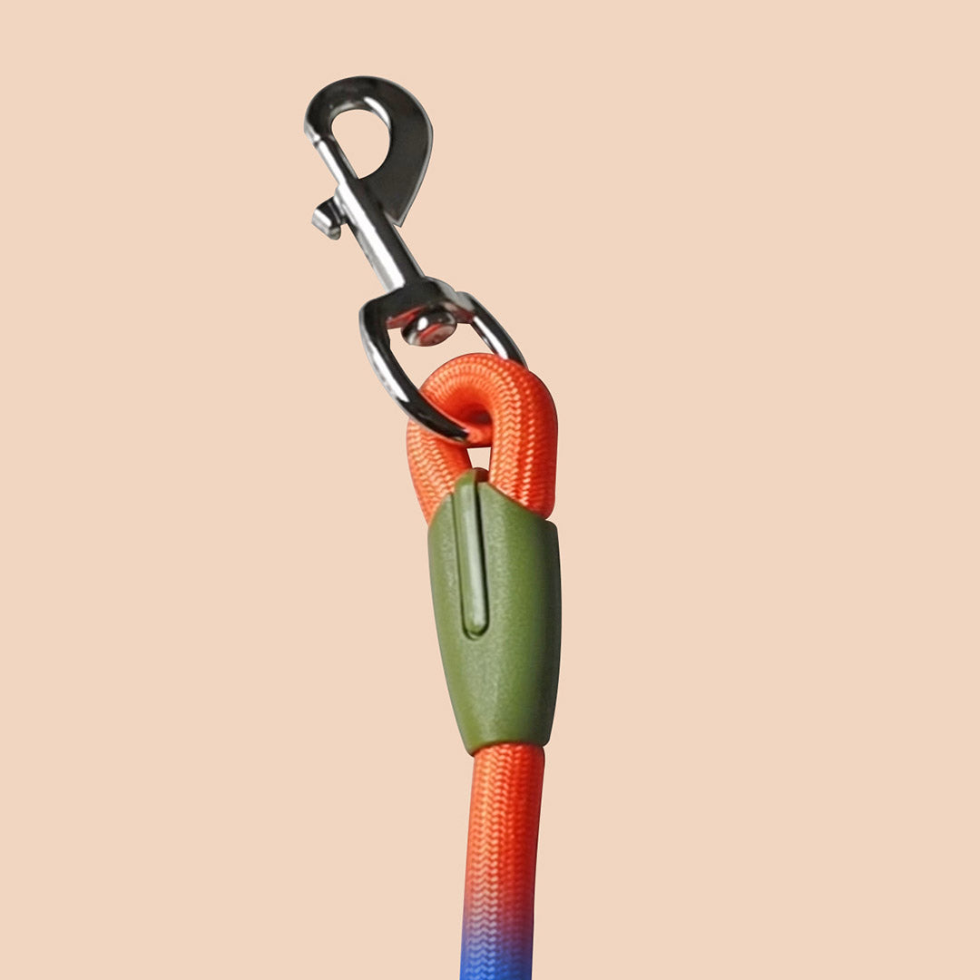 SOGA 220cm Multifunction Hands Free Rope Pet Cat Dog Puppy Double Ended Leash for Walking Training Tracking Obedience Rainbow-Dog Collars-PEROZ Accessories