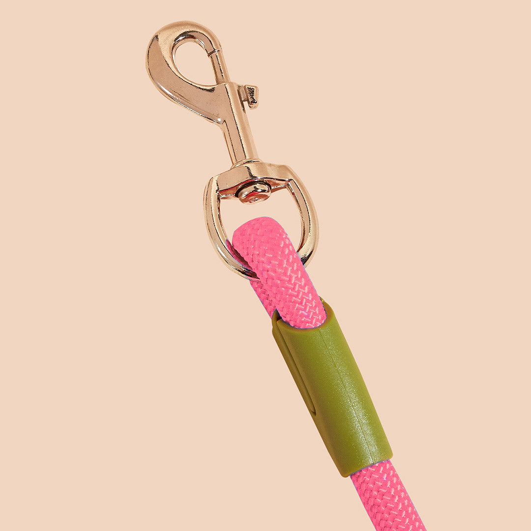 SOGA 2X 220cm Multifunction Hands Free Rope Pet Cat Dog Puppy Double Ended Leash for Walking Training Tracking Obedience Pink-Dog Collars-PEROZ Accessories