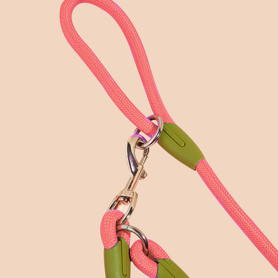 SOGA 2X 220cm Multifunction Hands Free Rope Pet Cat Dog Puppy Double Ended Leash for Walking Training Tracking Obedience Pink-Dog Collars-PEROZ Accessories