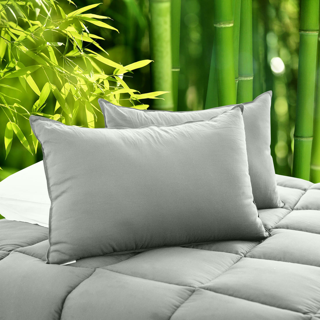 Royal Comfort Bamboo Pillow Hotel Quality Luxury Twin Pack-Bedding-PEROZ Accessories