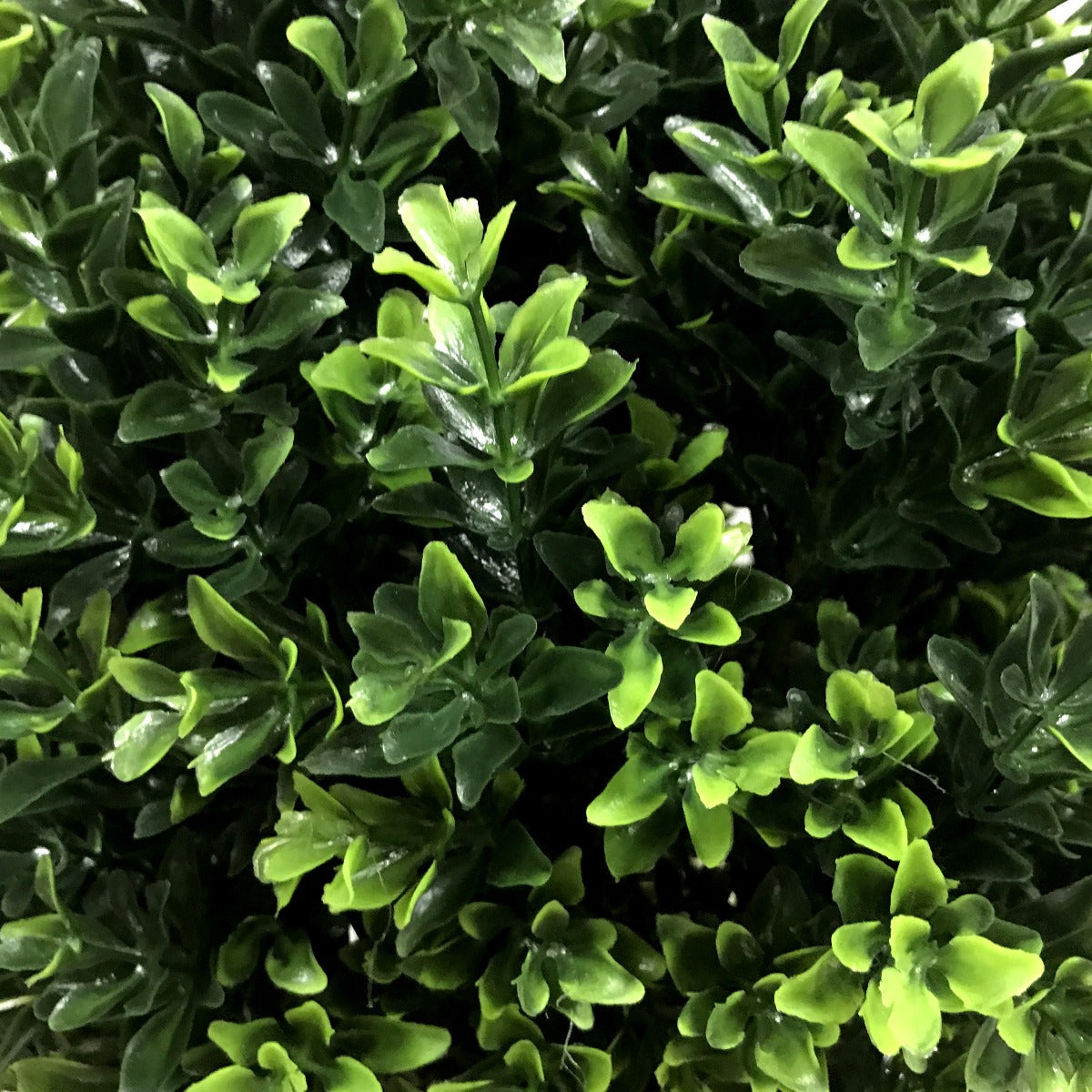UV Resistant Artificial Topiary Shrub (Hedyotis) 50cm Mixed Green-Home &amp; Garden &gt; Artificial Plants-PEROZ Accessories