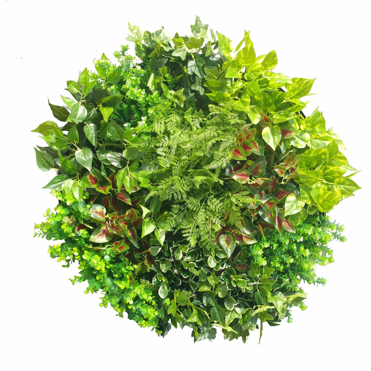 Artificial Green Wall Disk Art 80cm - Mixed Fern-Home &amp; Garden &gt; Artificial Plants-PEROZ Accessories
