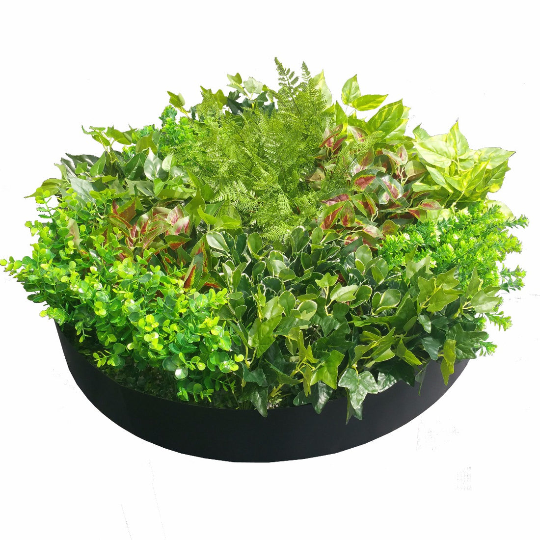 Artificial Green Wall Disk Art 80cm - Mixed Fern-Home &amp; Garden &gt; Artificial Plants-PEROZ Accessories