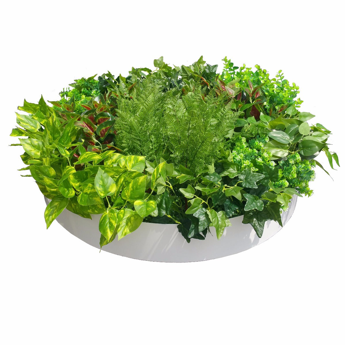 Artificial Green Wall Disk Art 80cm - Mixed Fern-Home &amp; Garden &gt; Artificial Plants-PEROZ Accessories