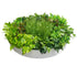 Artificial Green Wall Disc Art 80cm Mixed Fern (Fresh White)-Home & Garden > Artificial Plants-PEROZ Accessories