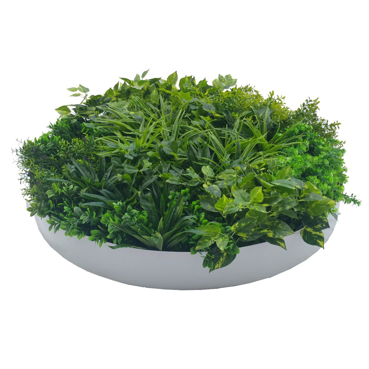 Artificial Green Wall Disc Art 100cm Dark Aloe Vera (Fresh White)-Home &amp; Garden &gt; Artificial Plants-PEROZ Accessories