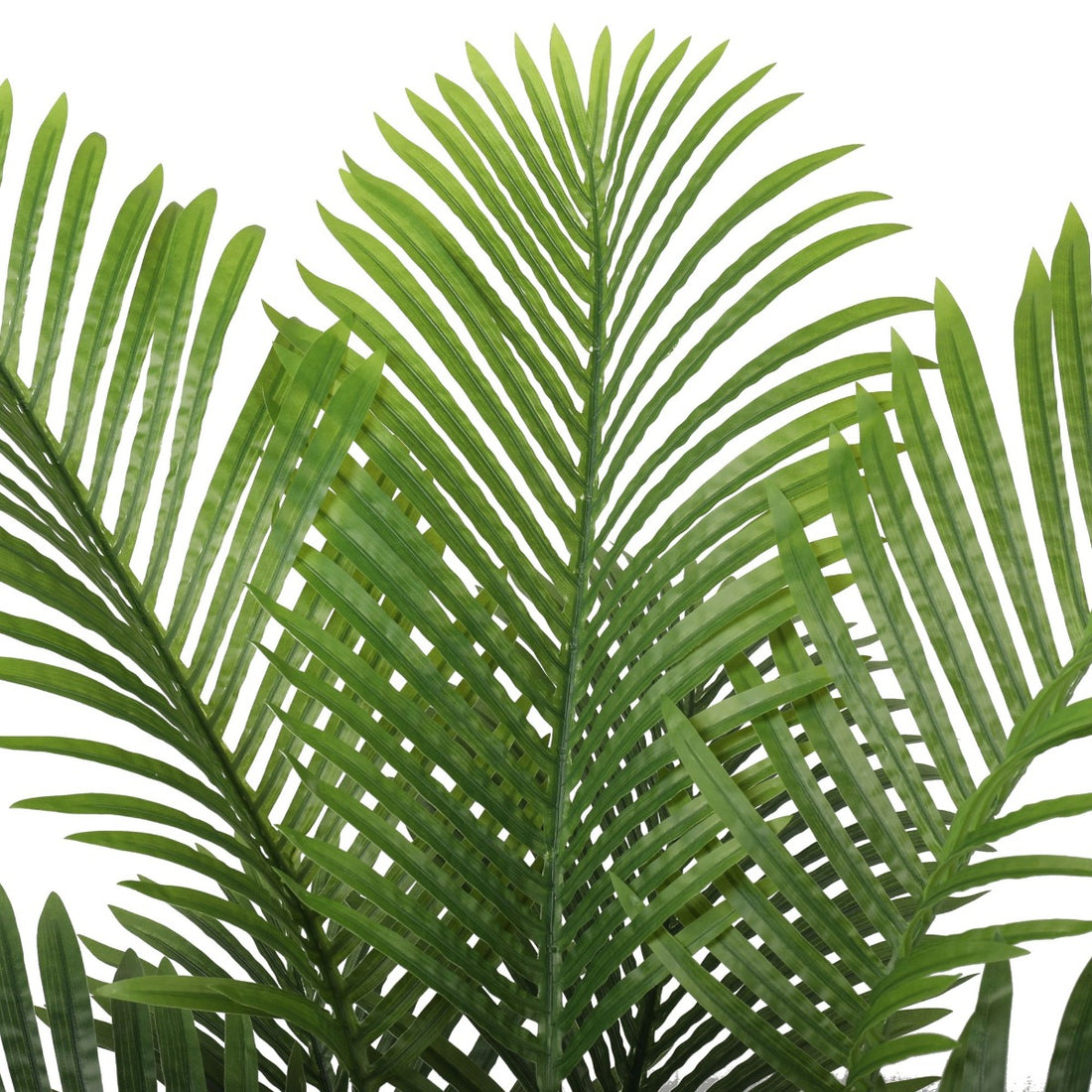 Premium Artificial Areca Palm Tree Real Touch 160cm-Home &amp; Garden &gt; Artificial Plants-PEROZ Accessories