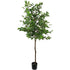 Artificial Potted Ficus Tree 160cm-Home & Garden > Artificial Plants-PEROZ Accessories