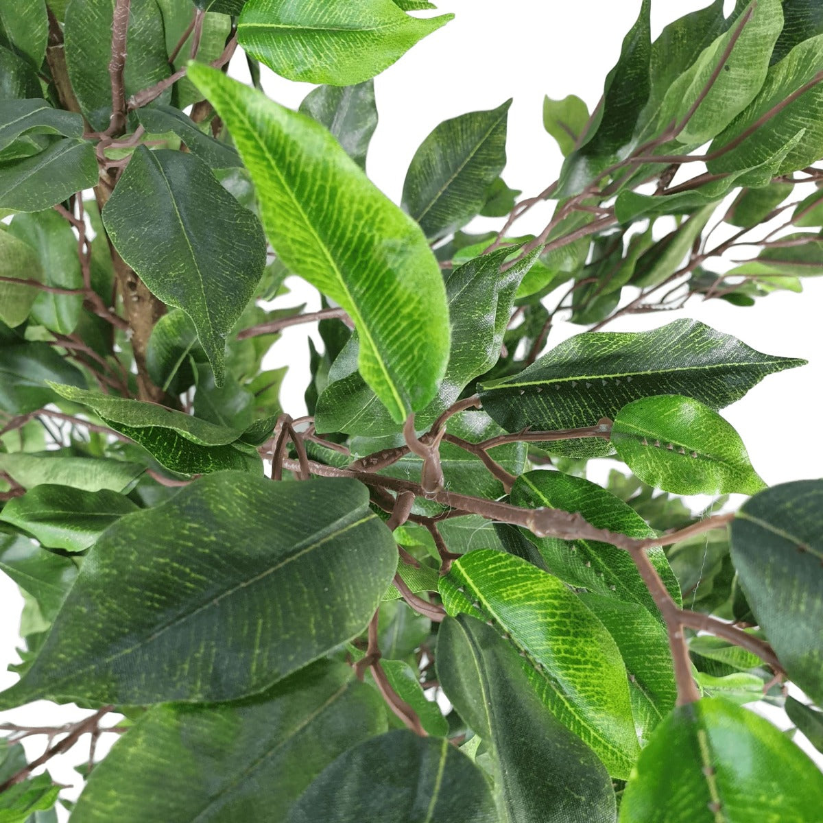 Artificial Potted Ficus Tree 160cm-Home &amp; Garden &gt; Artificial Plants-PEROZ Accessories