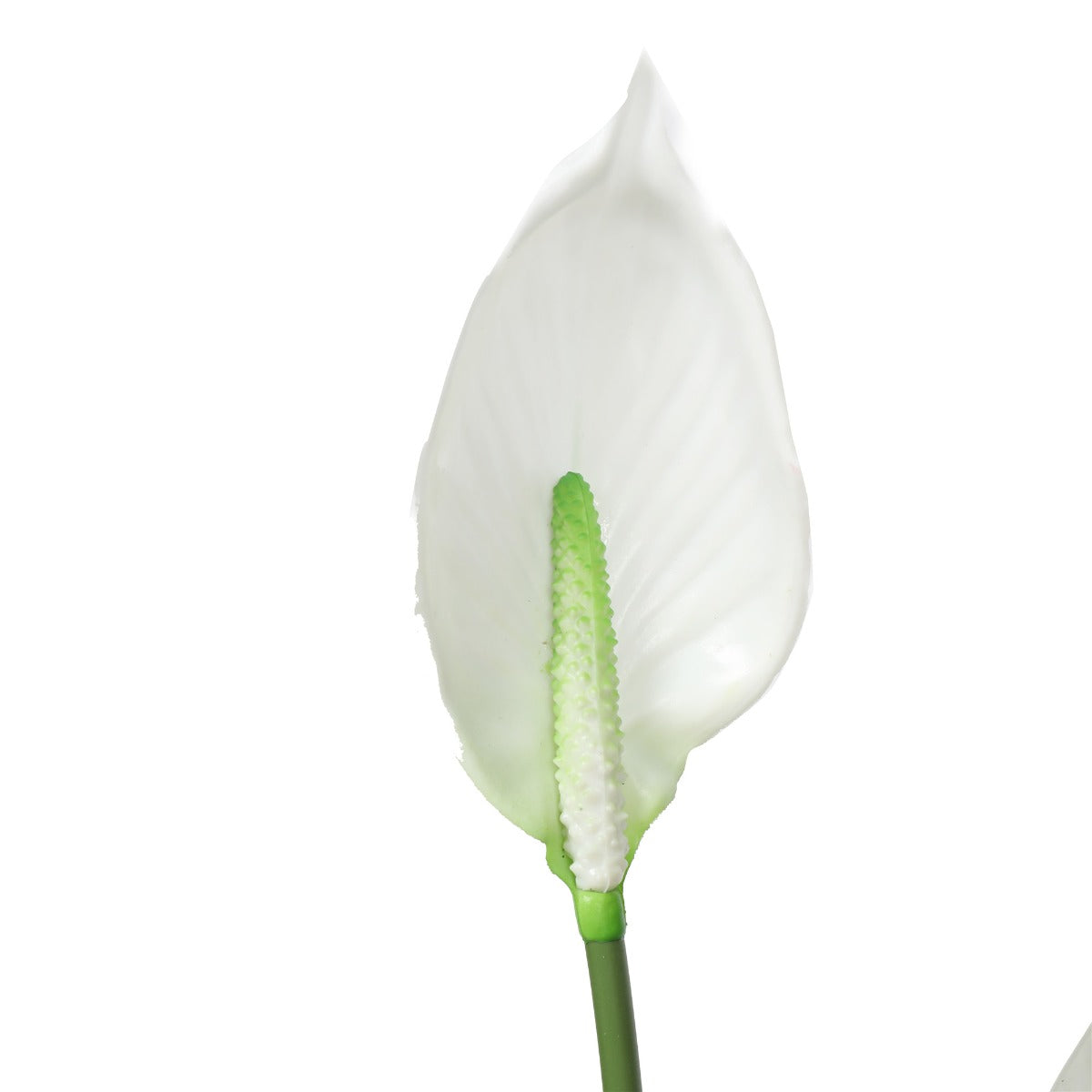Artificial Flowering White Peace Lily / Calla Lily 95cm-Home &amp; Garden &gt; Artificial Plants-PEROZ Accessories