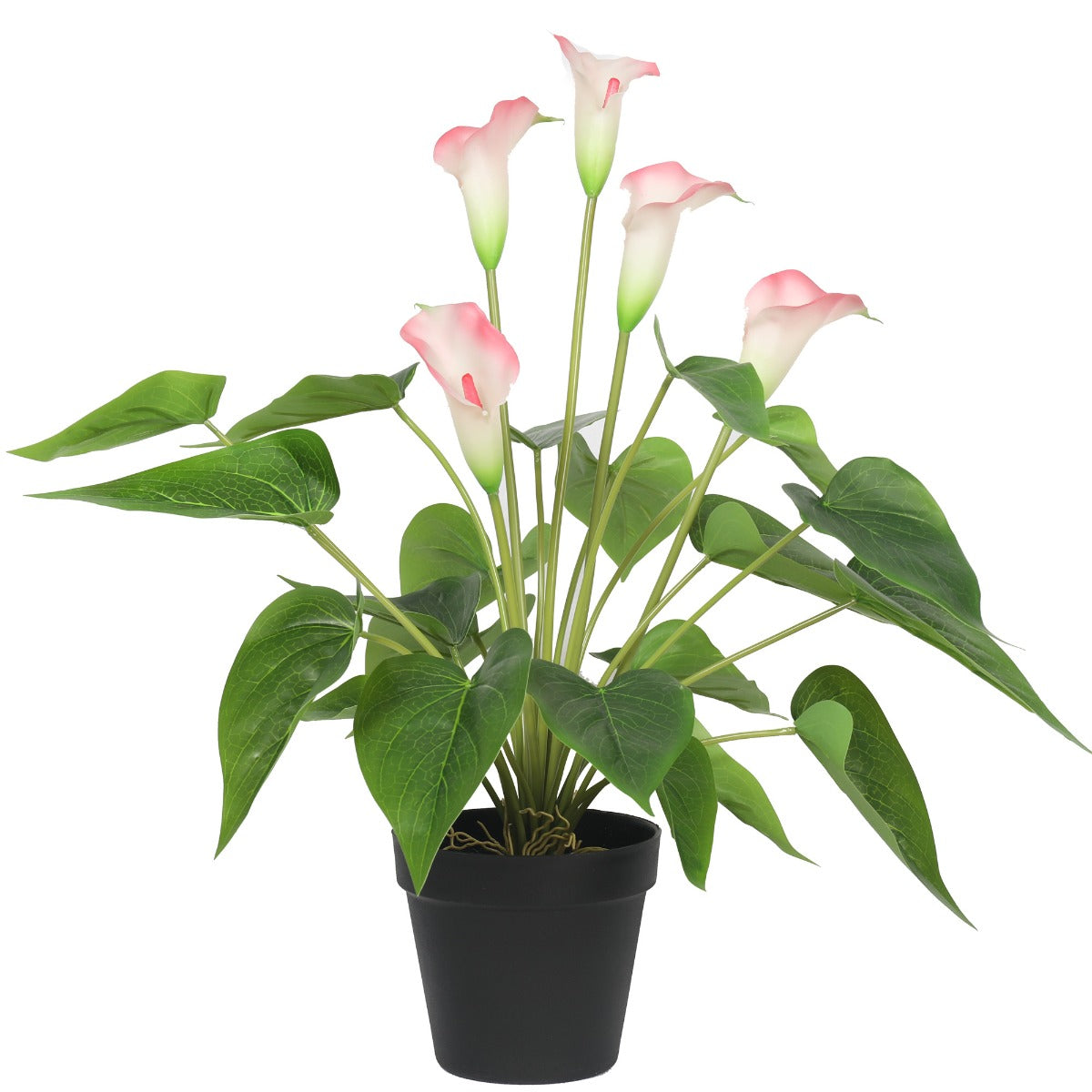 Artificial Flowering White &amp; Pink Peace Lily / Calla Lily Plant 50cm-Home &amp; Garden &gt; Artificial Plants-PEROZ Accessories