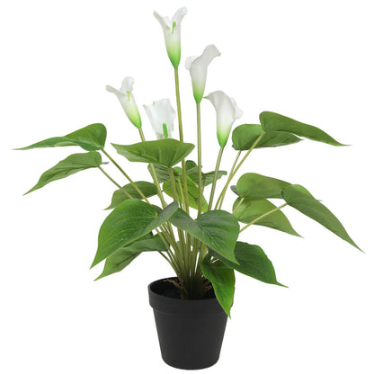 Artificial Flowering White Peace Lily / Calla Lily Plant 50cm-Home &amp; Garden &gt; Artificial Plants-PEROZ Accessories