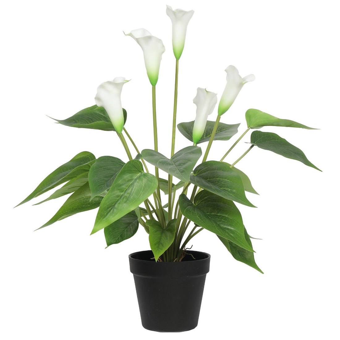 Artificial Flowering White Peace Lily / Calla Lily Plant 50cm-Home &amp; Garden &gt; Artificial Plants-PEROZ Accessories
