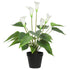 Artificial Flowering White Peace Lily / Calla Lily Plant 50cm-Home & Garden > Artificial Plants-PEROZ Accessories