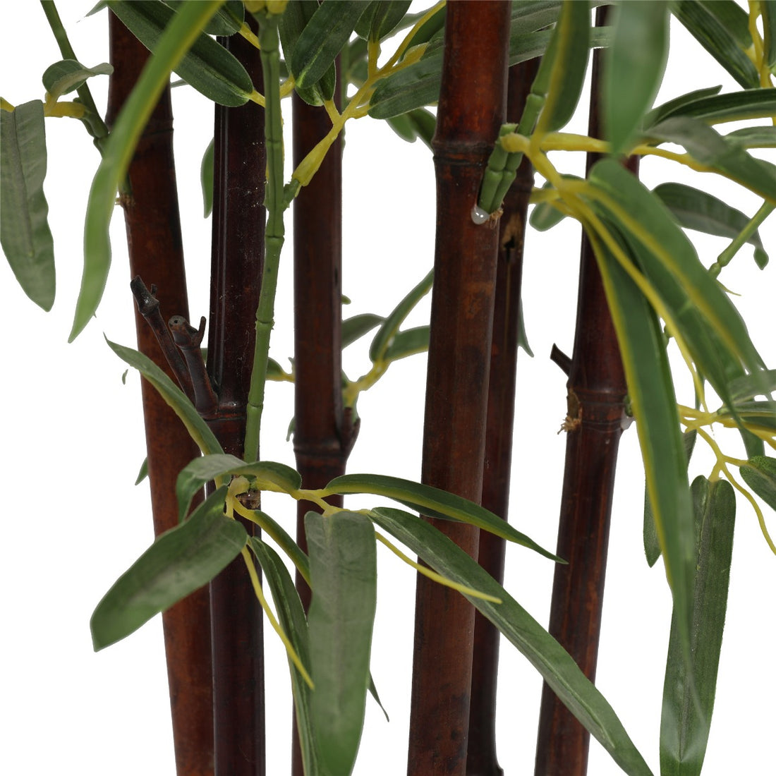 Artificial Bamboo Plant Dark Trunk (Potted) 180cm-Home &amp; Garden &gt; Artificial Plants-PEROZ Accessories