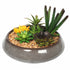 Potted Artificial Succulents with Round Decorative Bowl 19cm-Home & Garden > Artificial Plants-PEROZ Accessories
