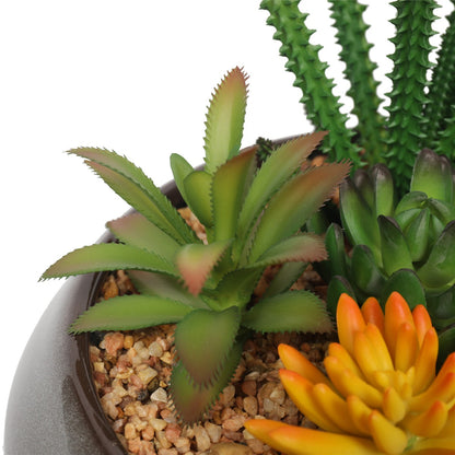 Potted Artificial Succulents with Round Decorative Bowl 19cm-Home &amp; Garden &gt; Artificial Plants-PEROZ Accessories