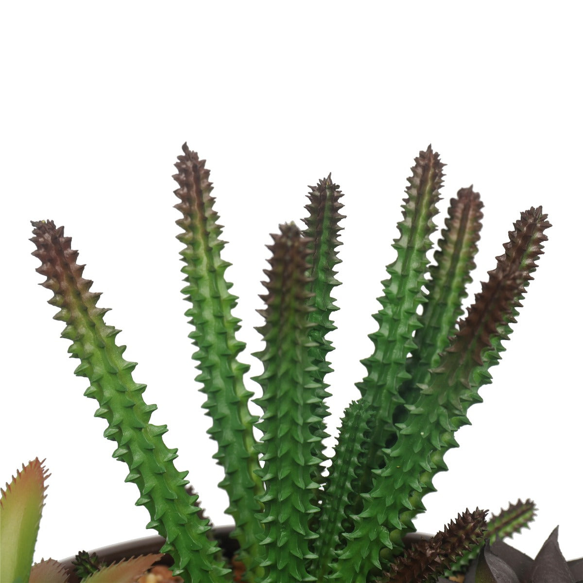 Potted Artificial Succulents with Round Decorative Bowl 19cm-Home &amp; Garden &gt; Artificial Plants-PEROZ Accessories