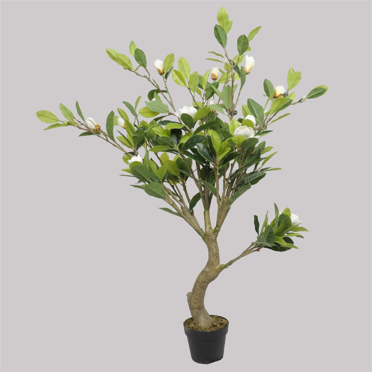 Faux White Flowering Magnolia Tree with Pot 130cm-Home &amp; Garden &gt; Artificial Plants-PEROZ Accessories