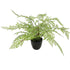 Faux Small Potted Fern 35cm-Home & Garden > Artificial Plants-PEROZ Accessories