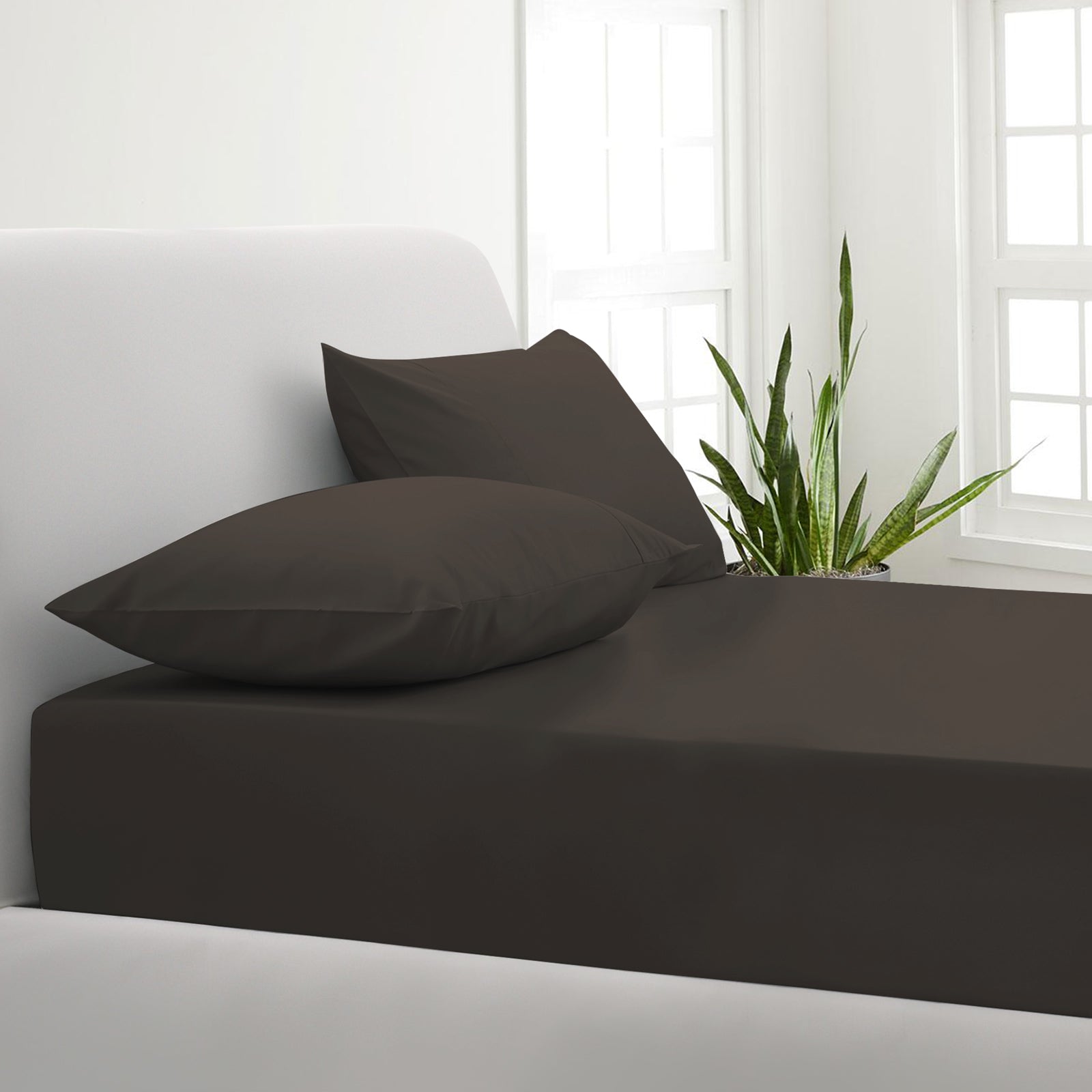 Park Avenue 1000TC Cotton Blend Sheet &amp; Pillowcases Set Hotel Quality Bedding-Bed Linen-PEROZ Accessories