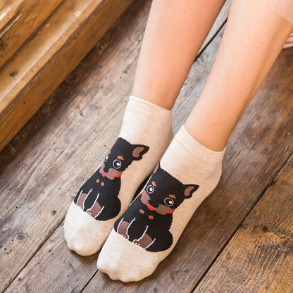 Anysox 5 Pairs One Size 5-9 Mixed Color Farm Animals Spring Summer Fashion Women Cotton Sox Cartoon Cute Girl Happy Funny Socks-Socks-PEROZ Accessories