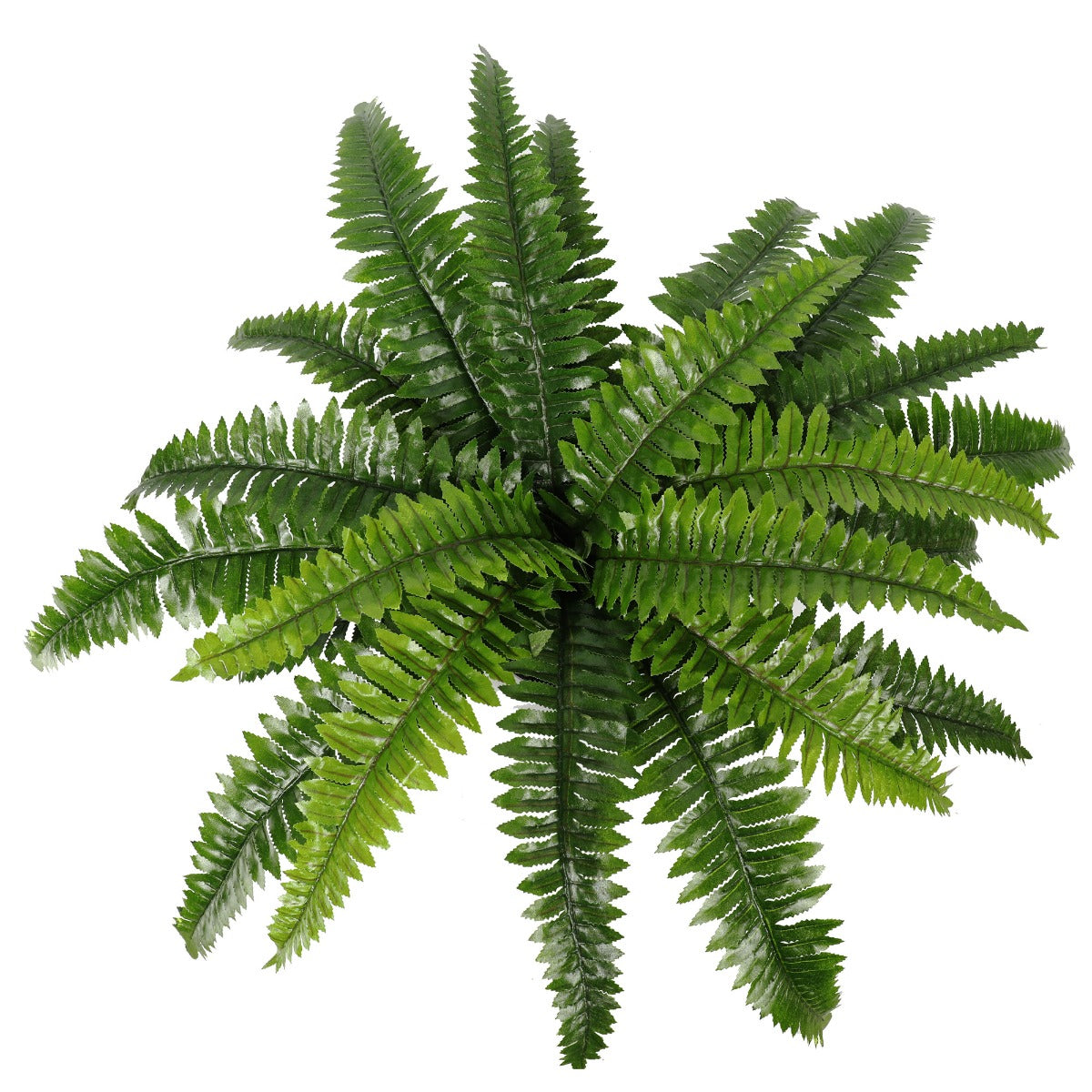 Artificial Potted Natural Green Boston Fern (50cm high 70cm wide)-Home &amp; Garden &gt; Artificial Plants-PEROZ Accessories