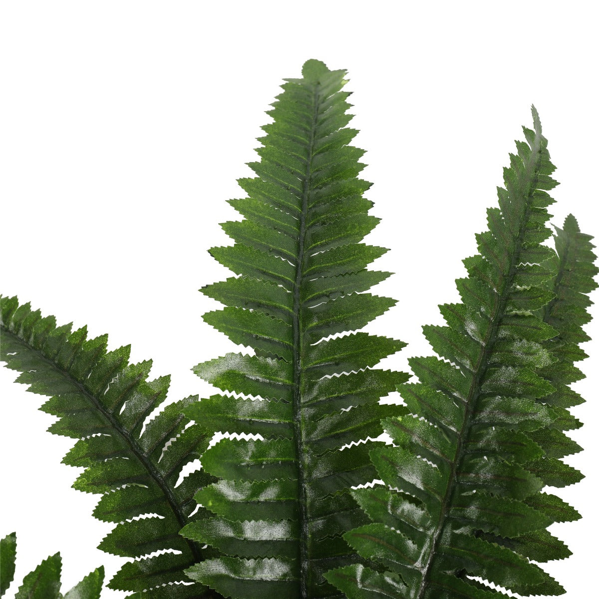 Artificial Potted Natural Green Boston Fern (50cm high 70cm wide)-Home &amp; Garden &gt; Artificial Plants-PEROZ Accessories