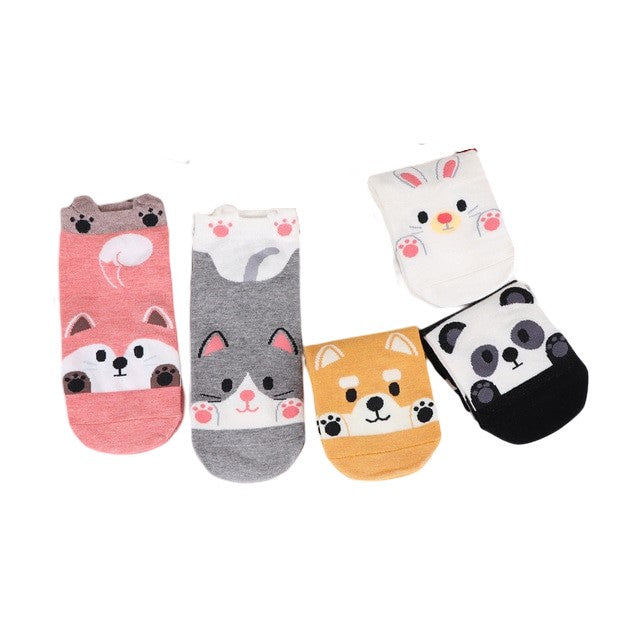 Anysox 5 Pairs One Size 5-9 Candy Color Pets Spring Summer Fashion Women Cotton Sox Cartoon Cute Girl Happy Funny Socks-Socks-PEROZ Accessories