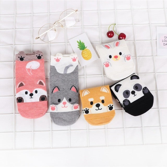Anysox 5 Pairs One Size 5-9 Candy Color Pets Spring Summer Fashion Women Cotton Sox Cartoon Cute Girl Happy Funny Socks-Socks-PEROZ Accessories