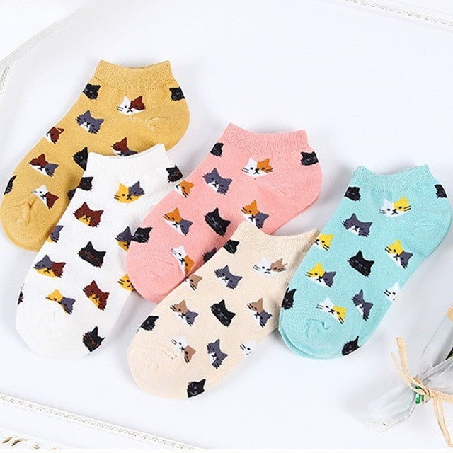 Anysox 5 Pairs One Size 5-9 Candy Color Kitten Summer Invisible Female Fashion Casual Cute Cartoon Short Cotton Ladies Dropship-Socks-PEROZ Accessories