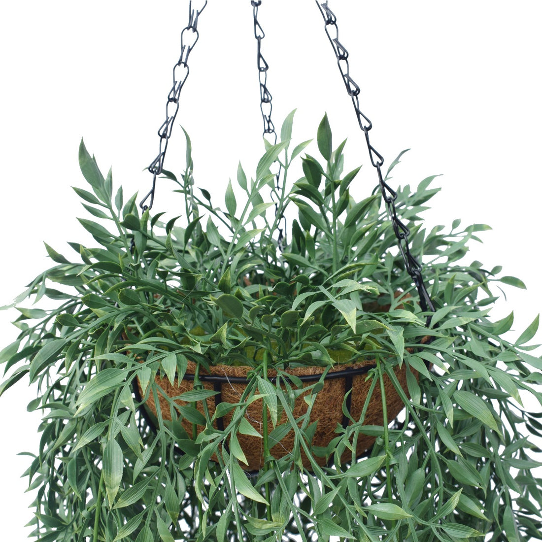 Hanging Fern Basket 110 cm-Home &amp; Garden &gt; Artificial Plants-PEROZ Accessories