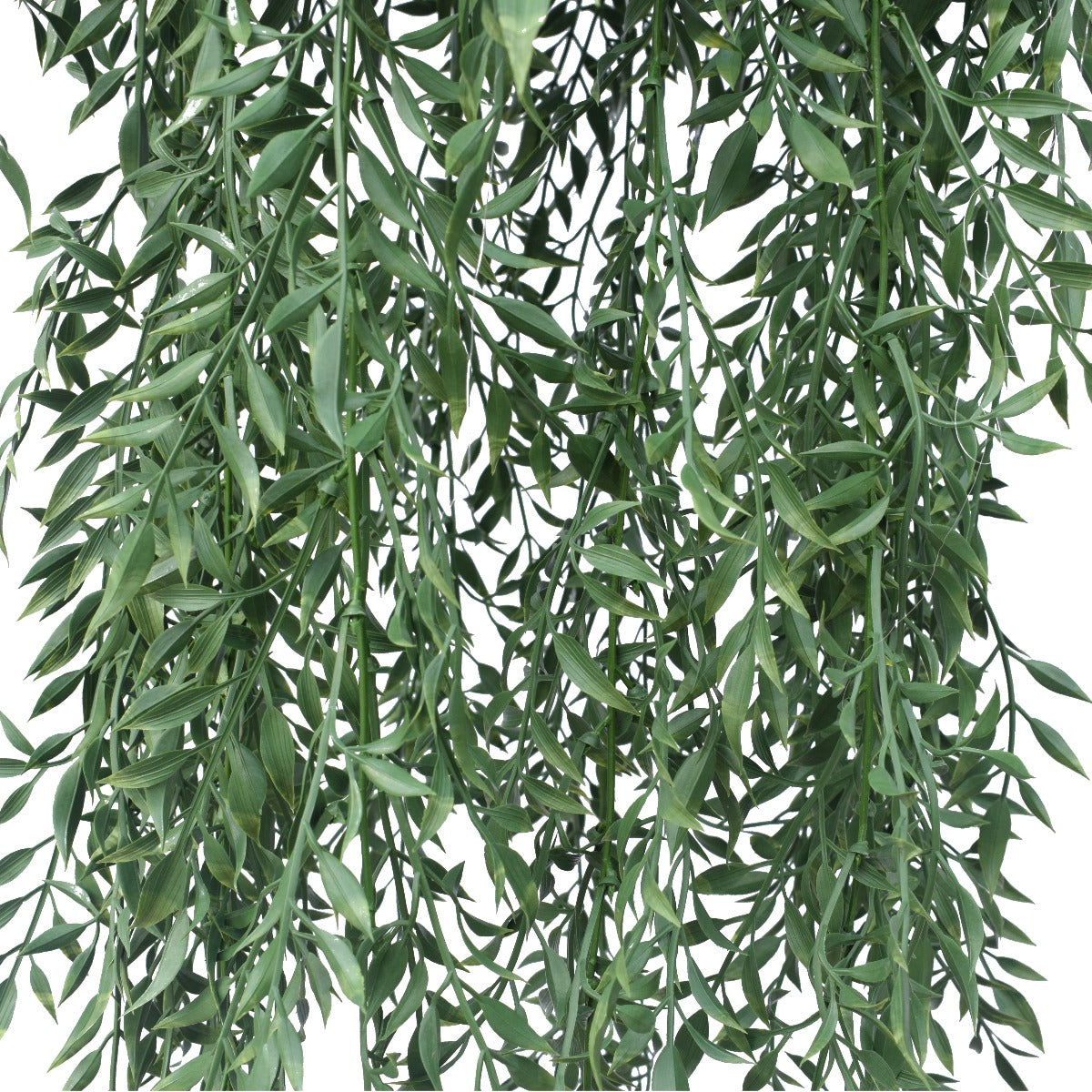 Hanging Fern Basket 110 cm-Home &amp; Garden &gt; Artificial Plants-PEROZ Accessories